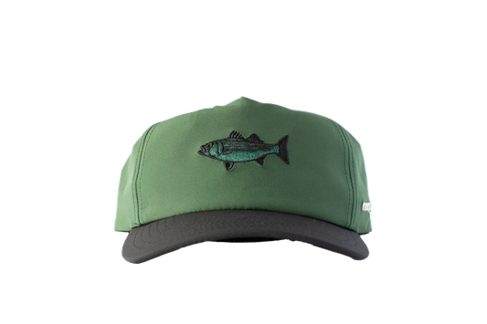 Striped Bass Hat - Forest