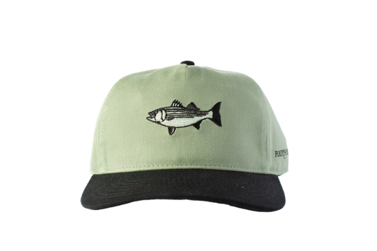 Striped Bass Hat - Sage
